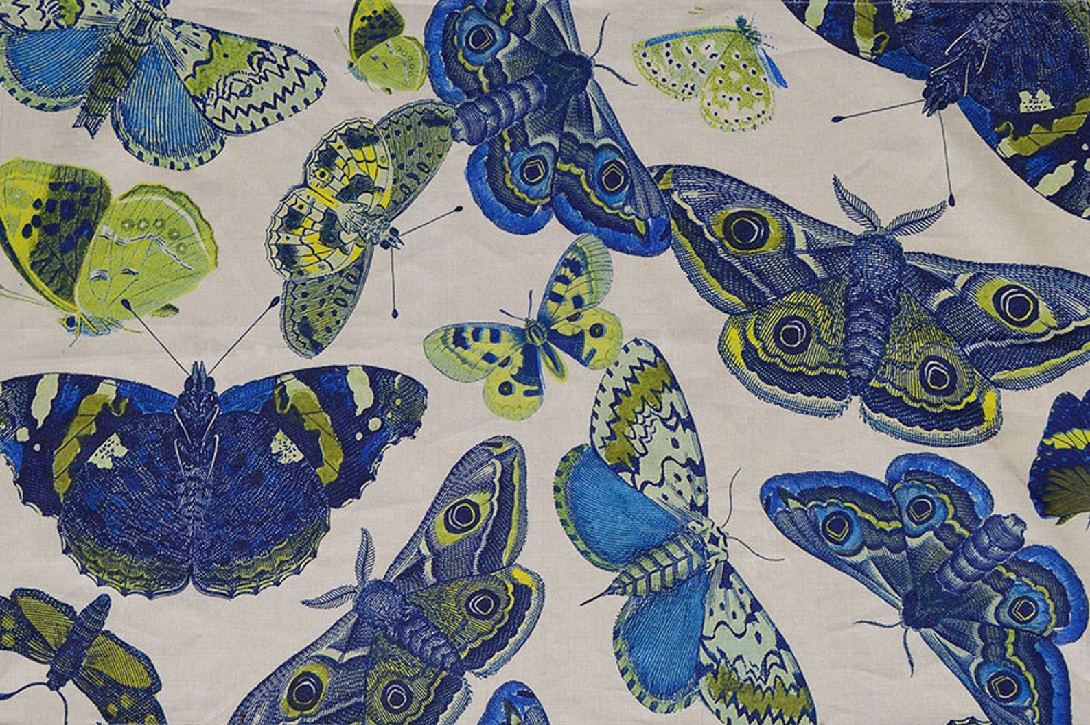 BLUE MOTHS by Design Legacy print fabric | Etsy