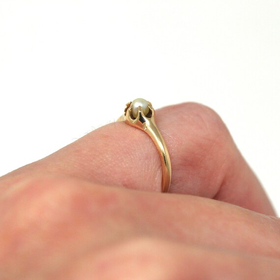 Sale - Cultured Pearl Ring - Edwardian 14k Yellow… - image 4