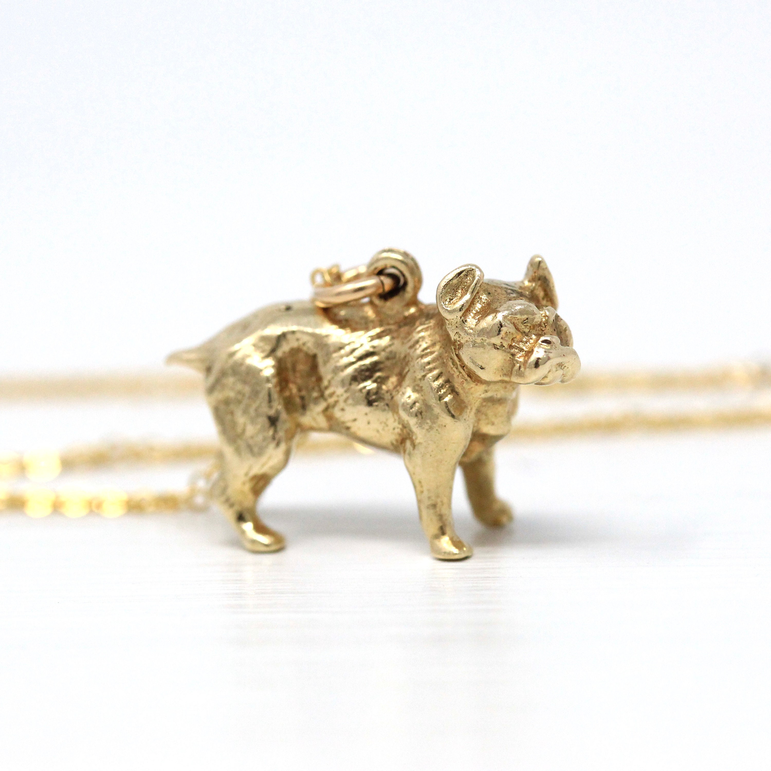 YSYSストアRembrandt Charms Bull Dog Charm with Lobster Clasp, 10K Yellow Gold並行輸入品 送料 価格