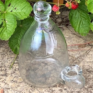 Antique French Bird Feeder. Hand-Blown Clear Glass. For Water or Seeds. Canaries Songbirds Finches Budgies. Aviary. Caged Bird. Unique Gift.