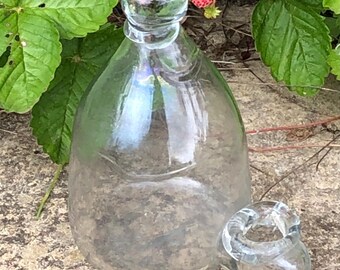 Antique French Bird Feeder. Hand-Blown Clear Glass. For Water or Seeds. Canaries Songbirds Finches Budgies. Aviary. Caged Bird. Unique Gift.