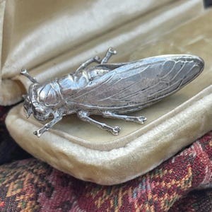Op de afbeelding: Een zilverkleurige cicadebroche met gedetailleerde vleugels voorzien van geëtste aderpatronen, een gesegmenteerd lichaam en zes poten. De insectvormige speld heeft een metallic afwerking en is naar links gericht met een anatomisch ontwerp.