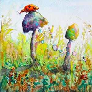 Biglietti pieghevoli vuoti da 5 pollici ~ Fungo iridescente, coccinella, ragnatela e gocce di rugiada in un prato su carta di lino Fine Art