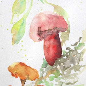 Ensemble de 5 cartes de visite pliantes vierges de 5 x 7 pouces sur papier de lin texturé beaux-arts, peinture aquarelle champignon réaliste