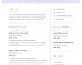 Custom Resume Design Service: Clean Professional Resume (PDF & Doc)
