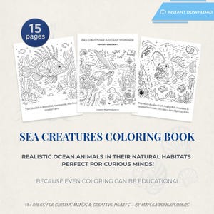 Sea Creatures Coloring Book for Kids & Adults | 15 Printable Ocean Animal Pages | Realistic Line Art | Digital Download PDF