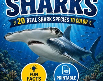 Shark Coloring Book for Kids | 20 Real Species & Fun Facts | Printable PDF