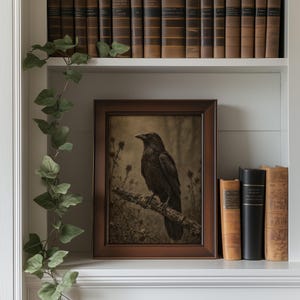 Moody crow picture print for study — dark academia artwork with dried botanicals and charcoal hues