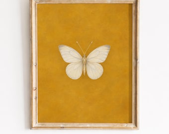 Vintage Cream Butterfly Print, Mustard Yellow Cottagecore Wall Art (Digital Download)