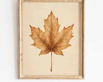 Vintage-Ahornblatt-Druck, rustikale herbstliche botanische Wandkunst zum Ausdrucken (digitaler Download)