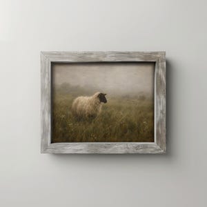 Lone sheep artwork featuring tall grasses — serene rustic print with soft vintage aesthetic