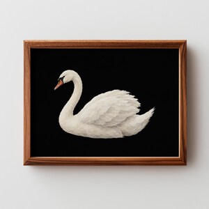 Timeless waterfowl painting picture — white swan with vintage character, warm beak tone, and gallery-quality contrast