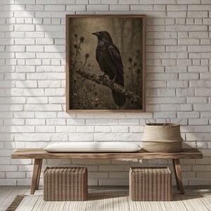 Spooky blackbird perch picture printable art file — vintage-style photograph with grain texture and mysterious woodland depths