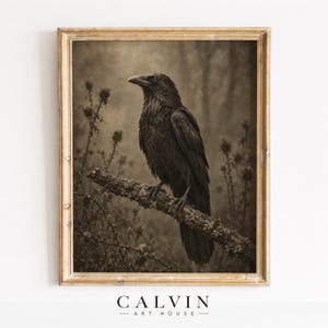 Spooky woodland bird picture instant download — dark vintage-style print with lichen details and dried plant elements