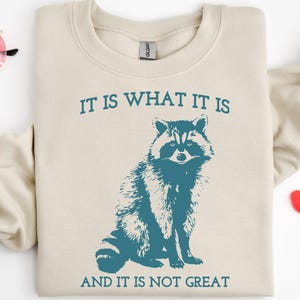 It Is What It Is And It Is Not Great Sweatshirt,Mental Health Sweatshirt,Funny Sweatshirt Women,Meme Sweatshirt,Raccoon Shirt
