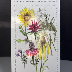 Common Roadside Wildflowers – Eastern Edition Field Guide (1993) | Fold-Out Native Forbs & Grasses Brochure – FHWA