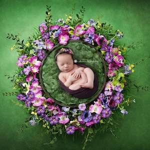 Digital Backdrops, Props (Baby Newborn Prop Digital Download) Purple Green Floral Flower Wreath Prop Background