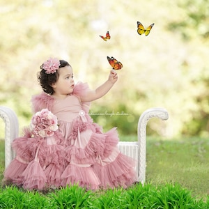 8 kolorowych motyli (dziecko noworodek rekwizyt cyfrowy do pobrania) nakładki dla fotografów clipart, clipart, motyl kompozytowy
