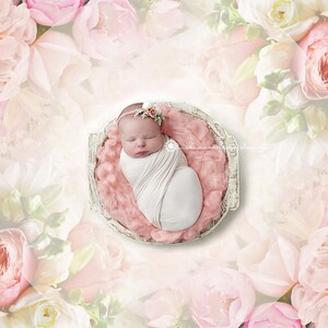 Digital Backdrops, Props (Baby Newborn Prop Digital Download) Flower Floral Backdrop Background