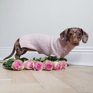 Hand aus Merino Wolle Dackel Pullover | Rosa Hundepullover mit Rollkragen für Dackel