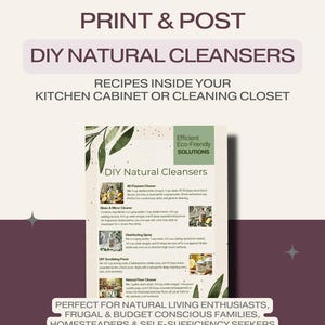 May include: Printable guide with recipes for DIY natural cleaners, including all-purpose cleaner, glass and mirror cleaner, disinfecting spray, scrubbing paste, and natural floor cleaner. The guide features a green leafy design and the text "DIY Natural Cleansers" and "Efficient Eco-Friendly Solutions".