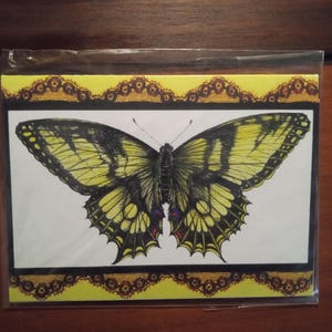 Butterfly Card