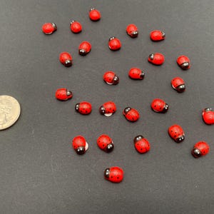 Micro Mini Coccinelle – 20 minuscole decorazioni a forma di insetto rosso con cuscinetti autoadesivi / Decorazioni per giardino delle fate, album di ritagli, piante e feste