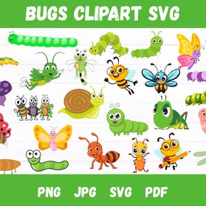 Bugs clipart, Insects clipart, butterfly clipart, animal clipart, Insect bundle svg, Bugs svg, ladybug svg, Spring, Download SVG and PNG