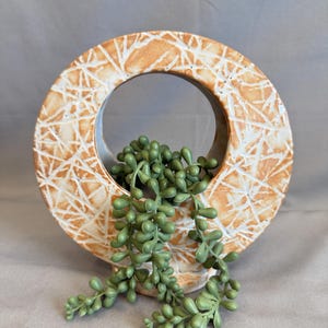 Circular Succulent Planter