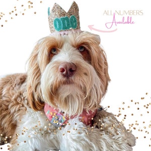 Dog Birthday Party Crown | Pet Birthday Crown | Dog Party Hat | 1st Pet Birthday Party Hat | Any Age Gold Crown