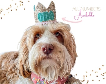 Dog Birthday Party Crown | Pet Birthday Crown | Dog Party Hat | 1st Pet Birthday Party Hat | Any Age Gold Crown