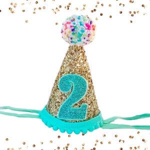 Chapeau 1er anniversaire, chapeau d&#39;anniversaire à paillettes, chapeau de fête miniature, chapeau Cake Smash, chapeau de fête d&#39;anniversaire, chapeau 1ère fête, chapeau 2e anniversaire, fête de chien