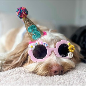 Custom Birthday Hat, Glitter Miniature Party Hat, Birthday Cake Smash Hat, 2nd Birthday Hat, Dog Party Hat