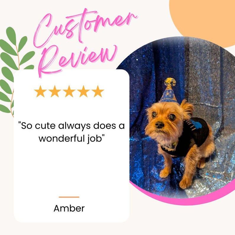 May include: A small tan dog wearing a blue and gold party hat and a black vest with a blue paw print design. The image includes text that reads Customer Review, five gold stars, the quote So cute always does a wonderful job, and the name Amber.