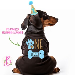 May include: A black dog shirt featuring a light blue paw print with a gold glitter heart, the word ONE in gold glitter, and a light blue bone shape with the name HERSHEY. The dog wears a gold glitter party hat with a light blue pom-pom and number 1.