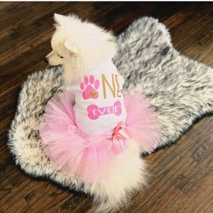 May include: A white dog shirt featuring a pink paw print, a gold glitter number one, and a pink bone graphic with the name EVIE printed in white. The shirt is attached to a layered pink tulle tutu skirt with a small pink satin bow at the waist.