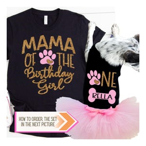 Matching Birthday Dog shirts, Dog Birthday Shirt for Adult, Pink and Gold Dog T-Shirt
