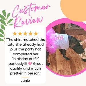 May include: A dark-colored dog wearing a white sleeveless shirt with a pink paw print graphic and a bright pink layered tulle tutu. The dog is also wearing a small, pointed party hat while standing on a wooden floor near a cake stand.