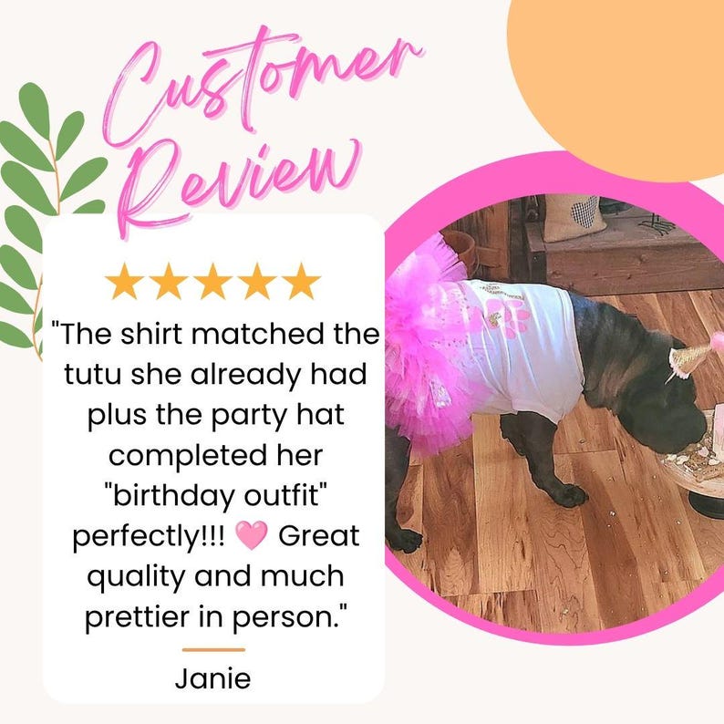 May include: A dark-colored dog wearing a white sleeveless shirt with a pink paw print graphic and a bright pink layered tulle tutu. The dog is also wearing a small, pointed party hat while standing on a wooden floor near a cake stand.