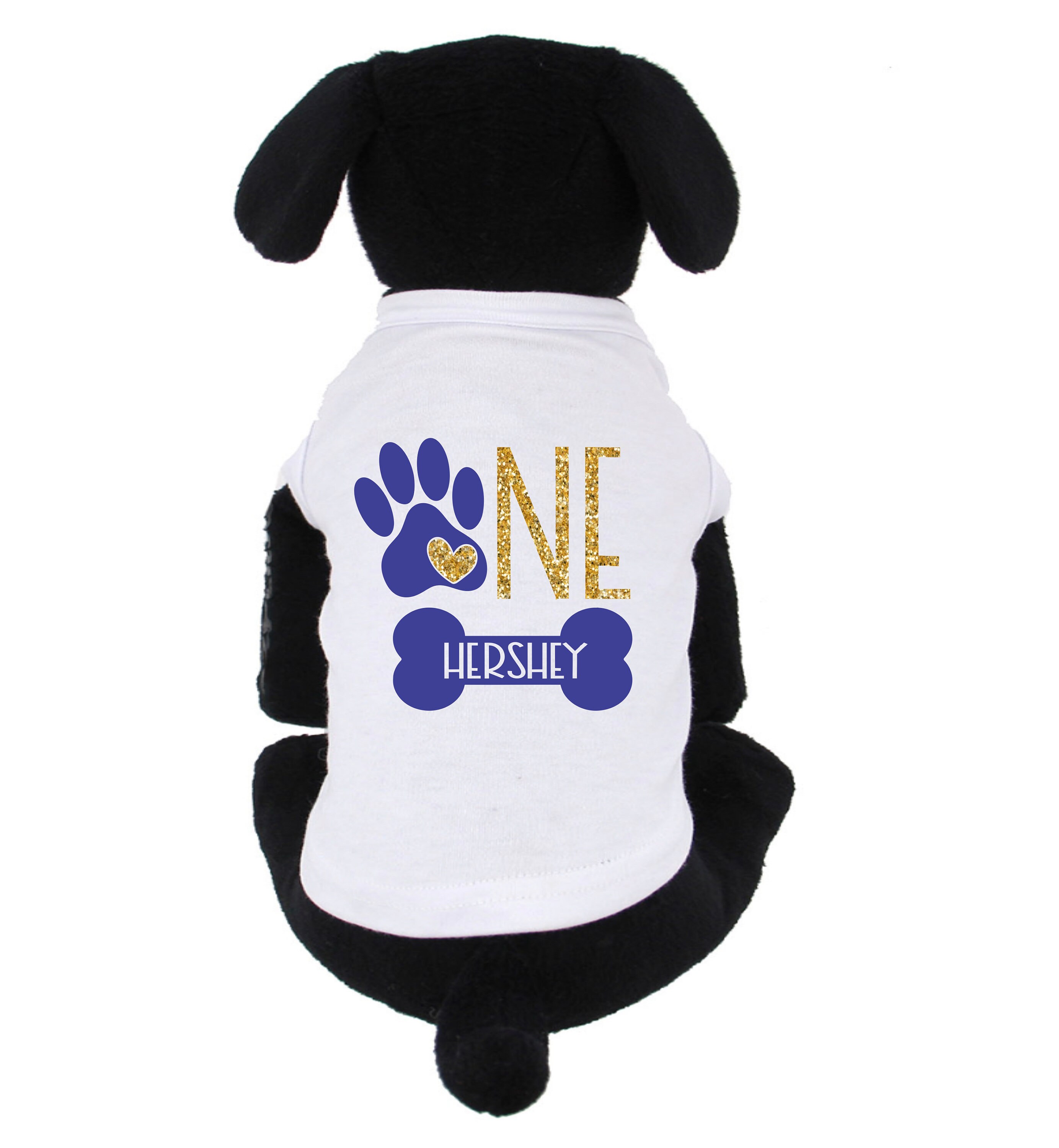 First Pawty birthday Outfit Miniature Party hat Dog Etsy