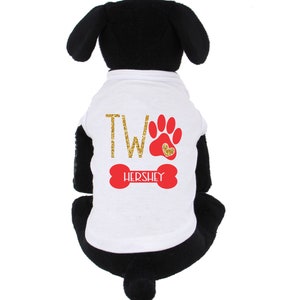 Pet Birthday Costume Red White and Gold with Mini Party Hat