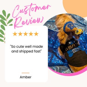 Matching Birthday Dog shirts, Dog Birthday Shirt for Adult, Boy Dog Birthday Matching Outfit image 13