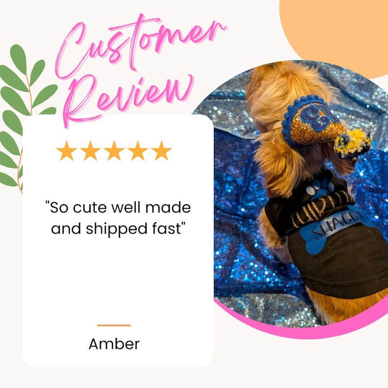 Matching Birthday Dog shirts, Dog Birthday Shirt for Adult, Boy Dog Birthday Matching Outfit image 13
