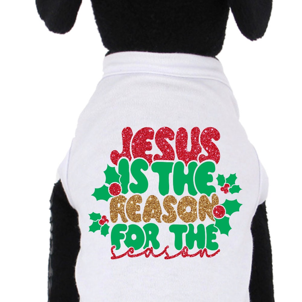 Jesus is the reason Dog outfit, Dog Christmas Shirt Outfit, Dog Christmas Gift, Christmas Dog Shirt