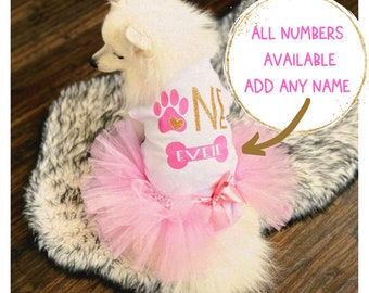 May include: A white dog wearing a pink tutu and a white shirt with a gold glitter "One" and a paw print with a pink heart. The shirt also has a white bone with the name "Evie" written on it. The text "All numbers available add any name" is written in a circle with a gold glitter background.