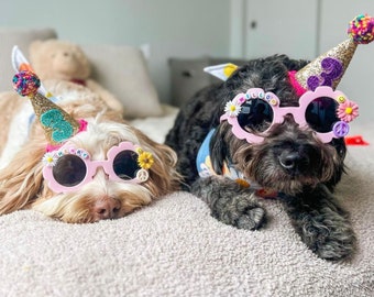 Dog Birthday Hat, Personalized Puppy Party Hat, Cute Pet Birthday Accessories, Custom Dog Birthday Gift, Fun Dog Glitter Party Hat