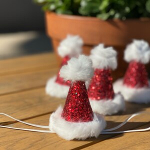 ミニサンタハット、お揃いのシャツ、チュチュ、キラキラショーツもご用意しております！