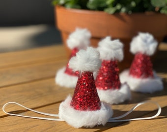 Mini Santa Hat, Matching Shirts Tutus and Sparkle Shorts Available!
