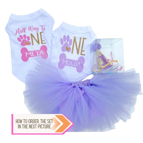 Custom Dog Birthday Tutu Outfit & Family Matching Shirts Set