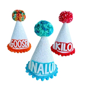 Dog Birthday Hat – Personalized Pet Party Hat with Name, Custom Dog Hat, Puppy Birthday Cone Hat, Pet Party Hat